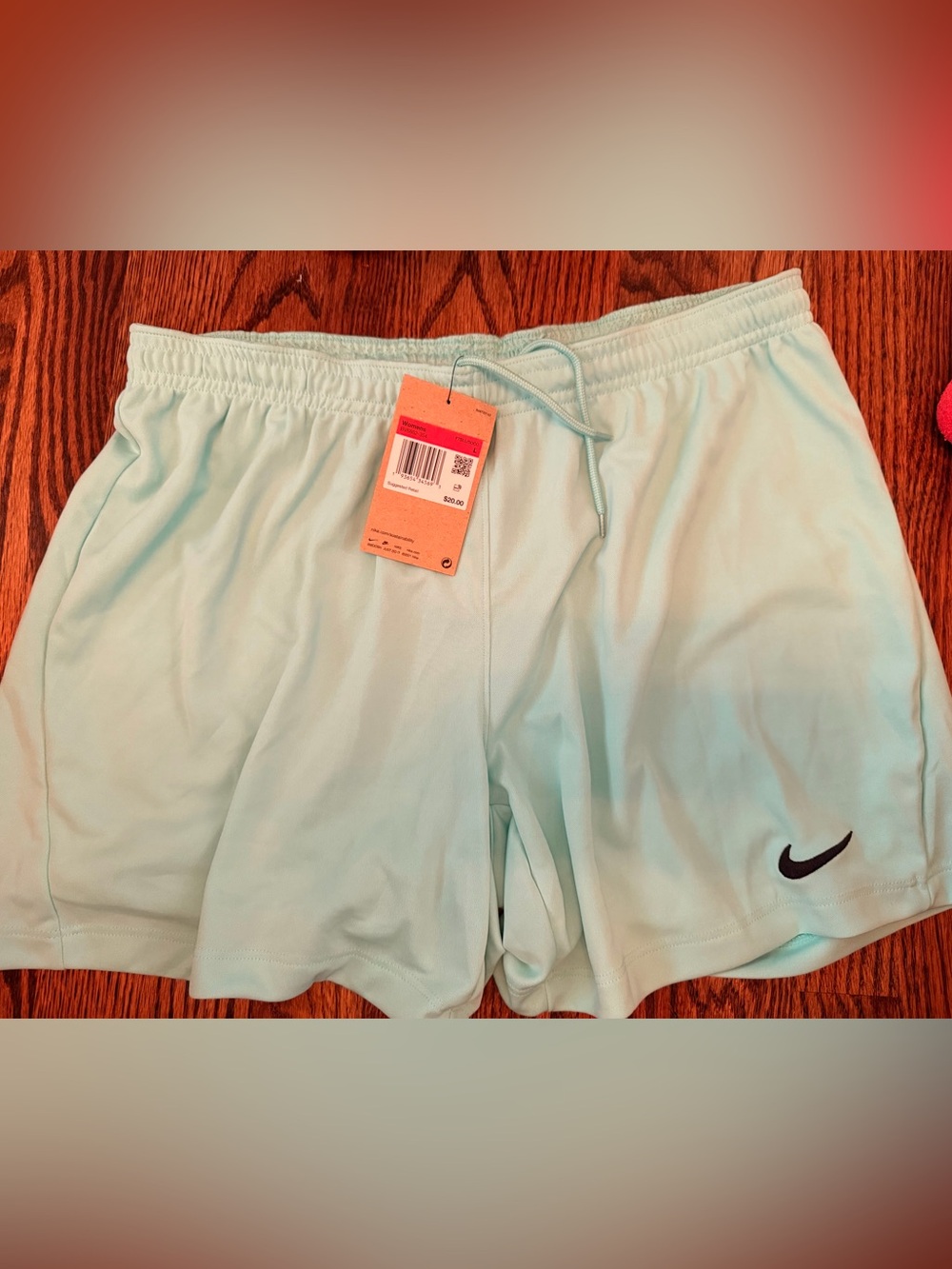Women’s Nike Teal/Light Blue Shorts - L
